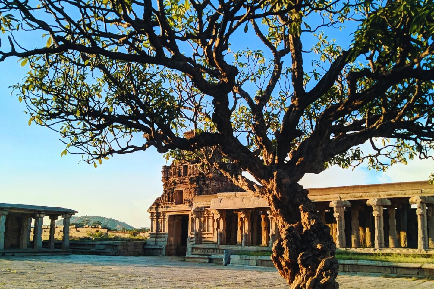 Things to do in Hampi