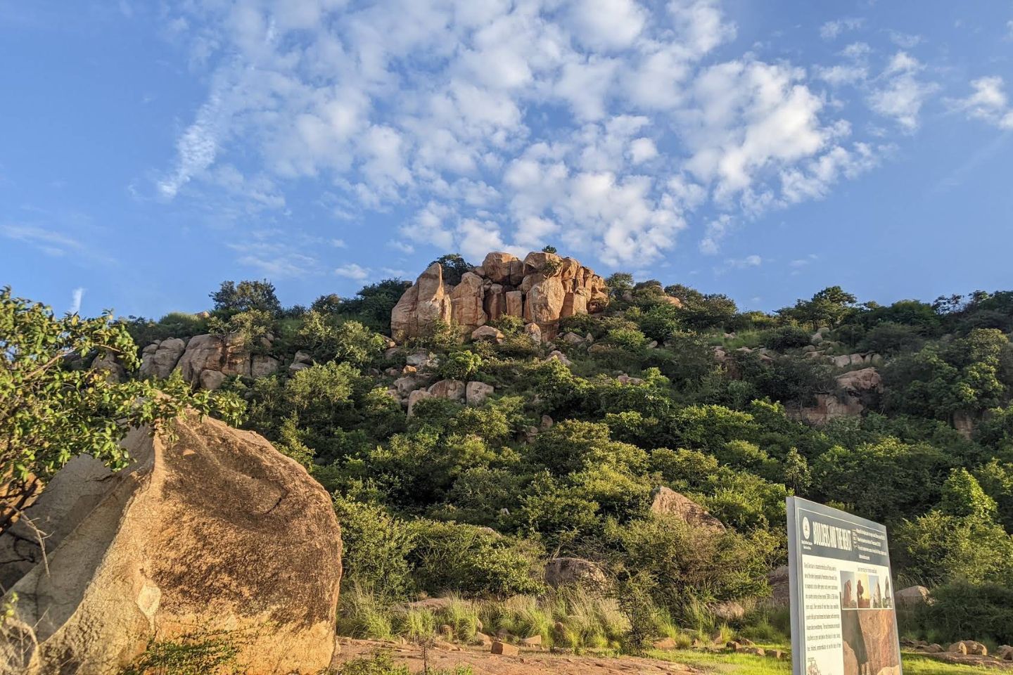Daroji Sloth Bear Sanctuary, Hampi